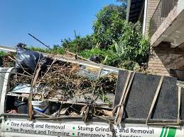 Best Garage Cleanout  in Hinton, WV