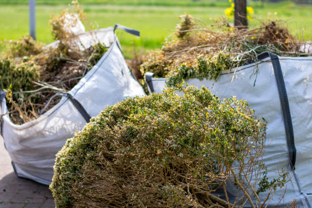 Best Electronics and E-Waste Disposal  in Hinton, WV